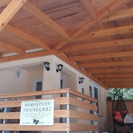 Guest house Borostyan Vendeghaz