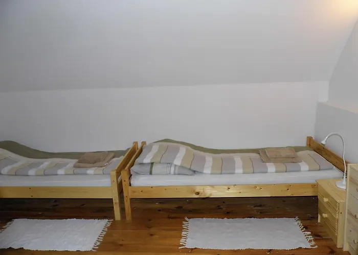 Πανσιόν Borostyan Vendeghaz 3*